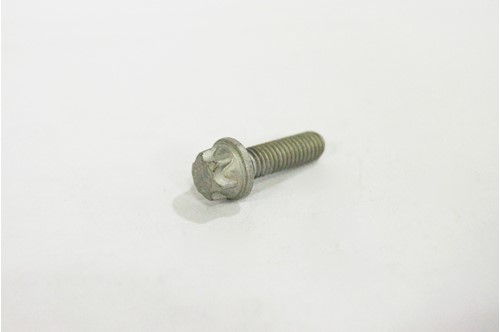 Genuine Saab Torx Screw - 11095001