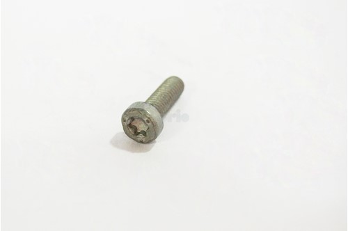 Genuine Saab Torx Screw - 11096061