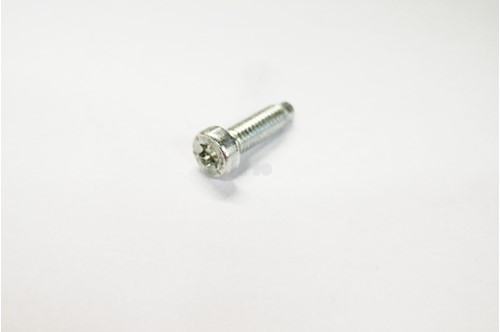 Genuine Saab Torx Screw - 11098452