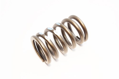 Genuine Saab Valve Spring - 90448050